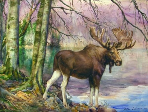 Лось для детей