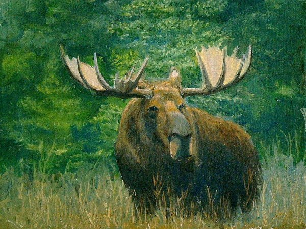 Иоганнес Дейкер картины Лось