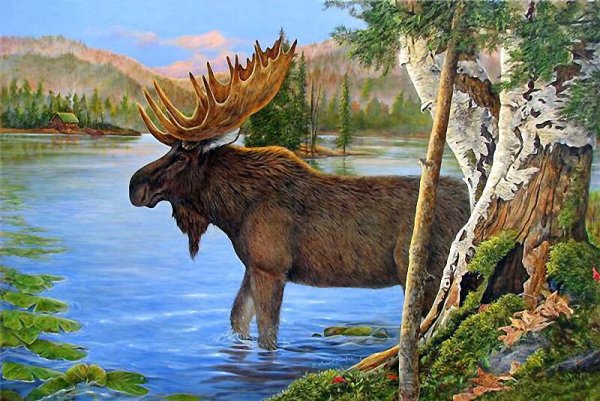 Сказочный Лось