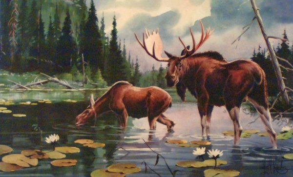 Лось и волки картина