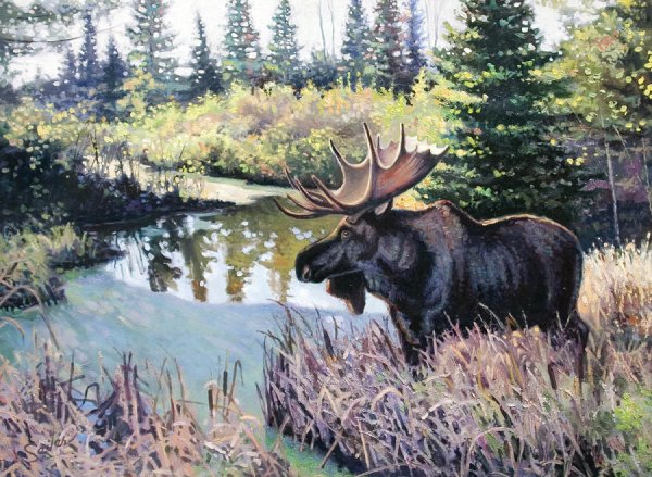 Лось в лесу для детей