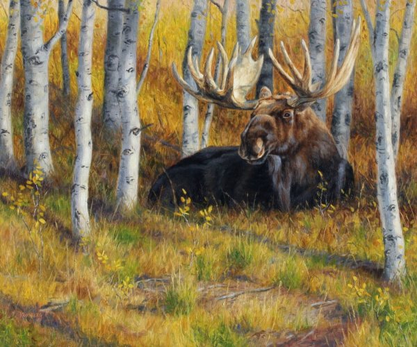 Robert Bateman Лось