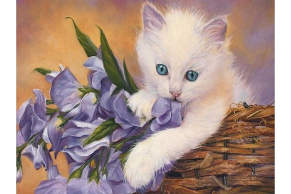 Канадская художница Lucie Bilodeau