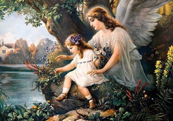 Сандра Кук художник