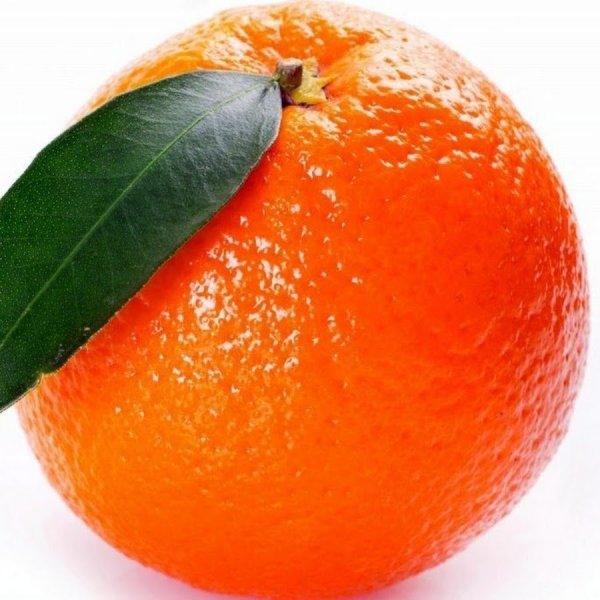 Мандарин на белом фоне