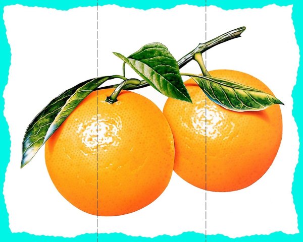 2 Апельсина на белом фоне