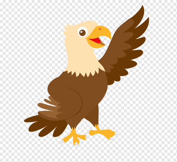 Орлы мультяшные