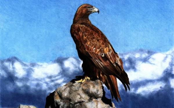 Орел на скале