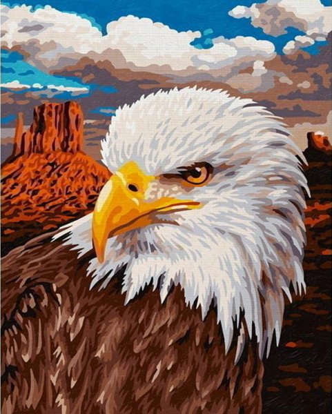 Алмазная мозаика белоголовый Орел