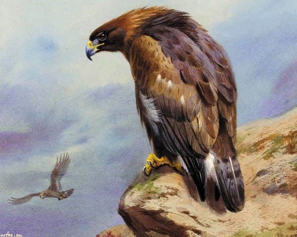 Беркут в живописи