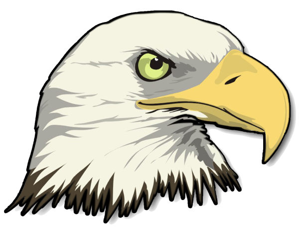 Мультяшная голова орла