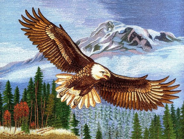 Горный пейзаж с птицами