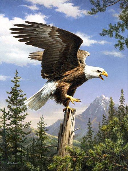 Орёл Сокол Беркут в живописи маслом