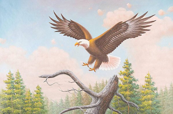 Рисунок Орел на дубе