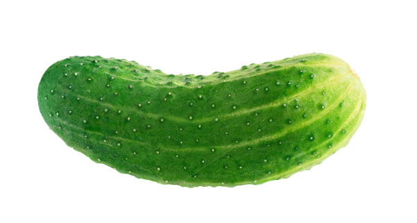 Огурец на прозрачном фоне