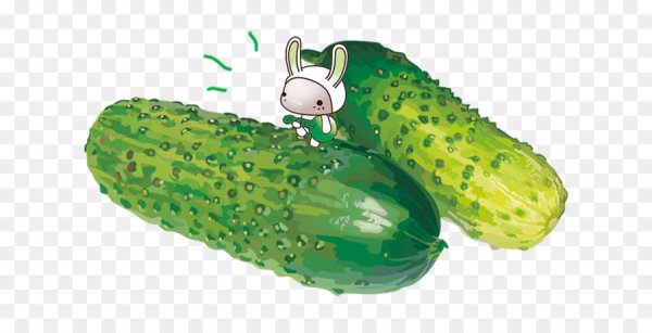 Огурчик для детей на прозрачном фоне