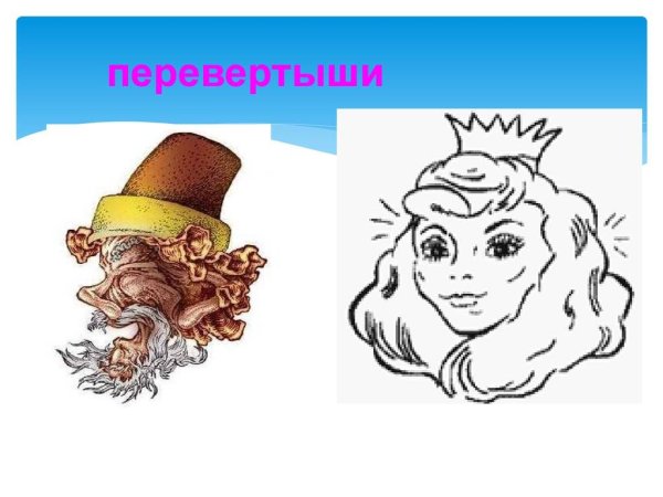 Иллюзии перевертыши