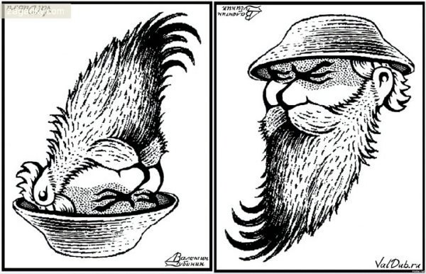 Перевёртыши иллюзии Валентин Дубинин