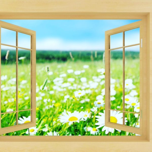 Ребенок у окна