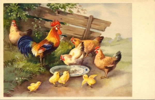 Петушок с семьей. (По к.д. Ушинскому)