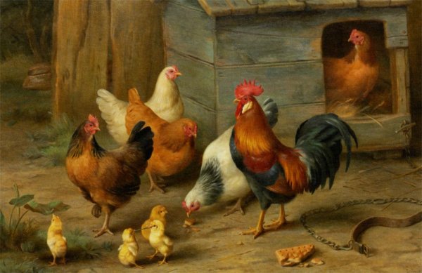 Курятник картина