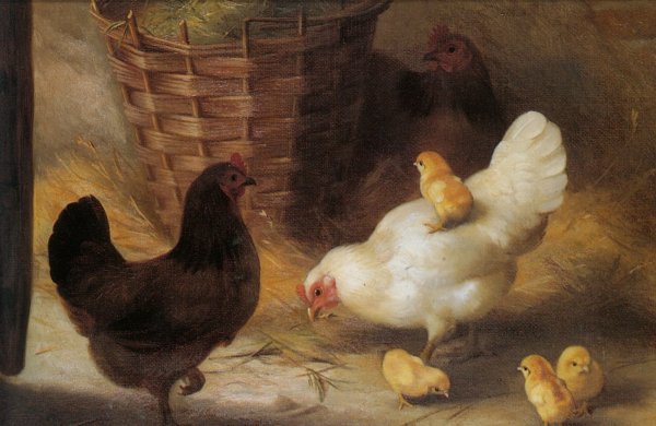 Эдгар Хант цыплята