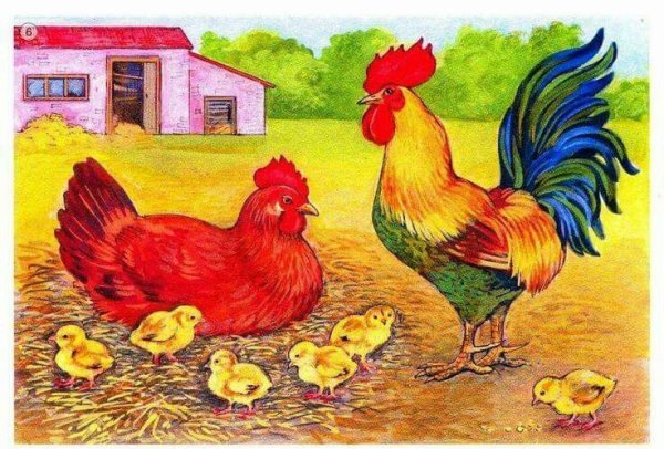 Ушинский петушок и Курочка