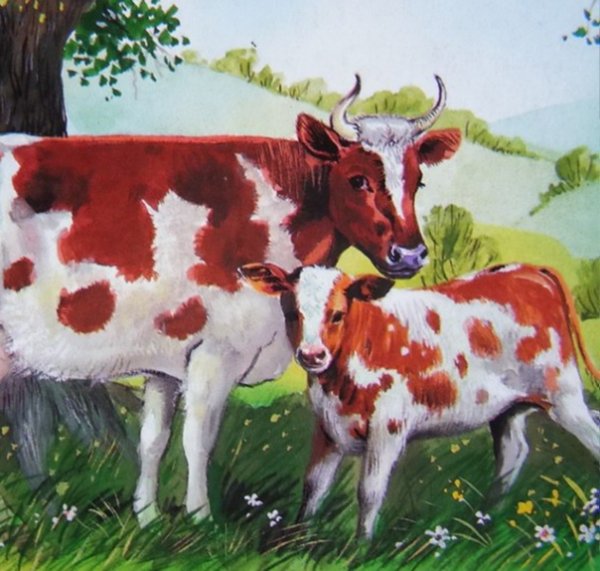Корова с теленком для детей