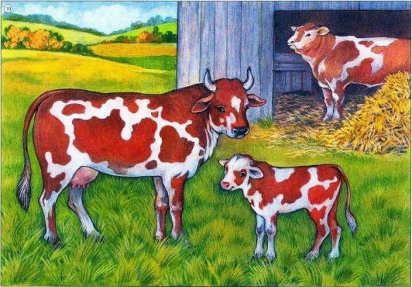 Сюжетная картина домашние животные