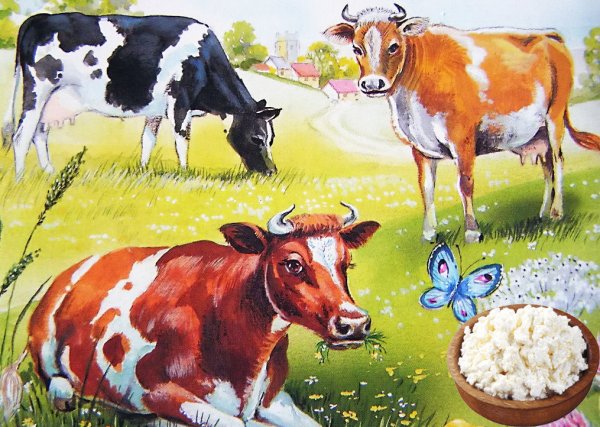 Корова на лужайке