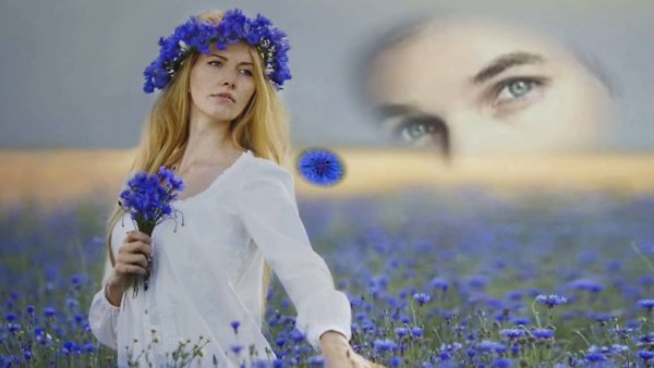 Девушка и васильки