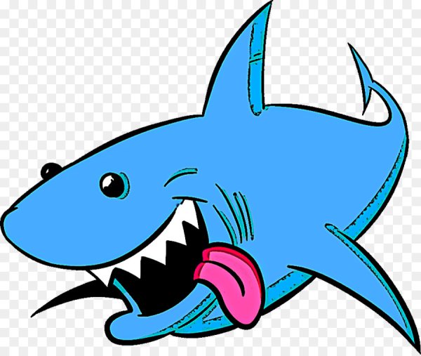 Акула рисунок