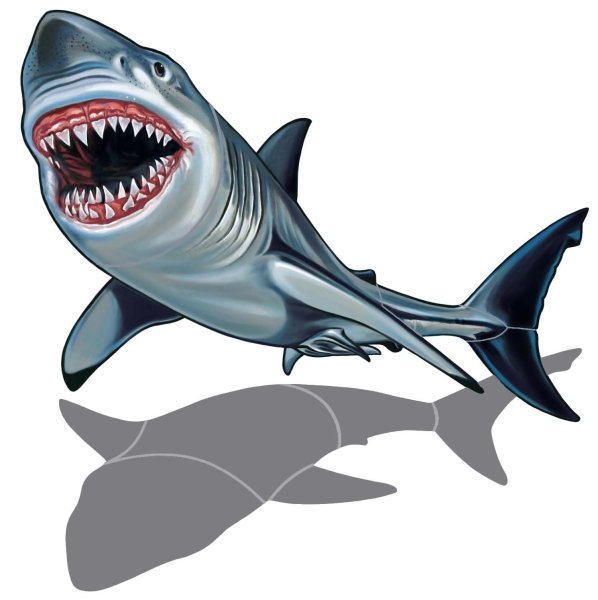 Акулы мультяшные