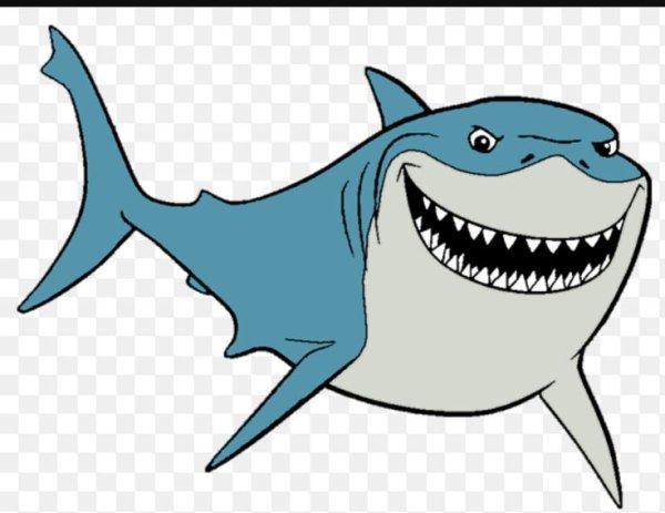 Акула рисунок