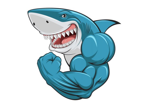 Веселая акула