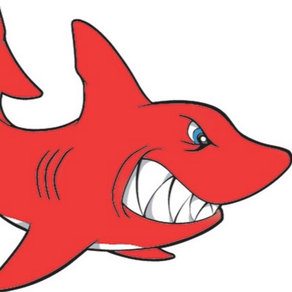 Акула рисунок для детей