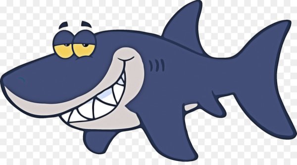 Веселая акула