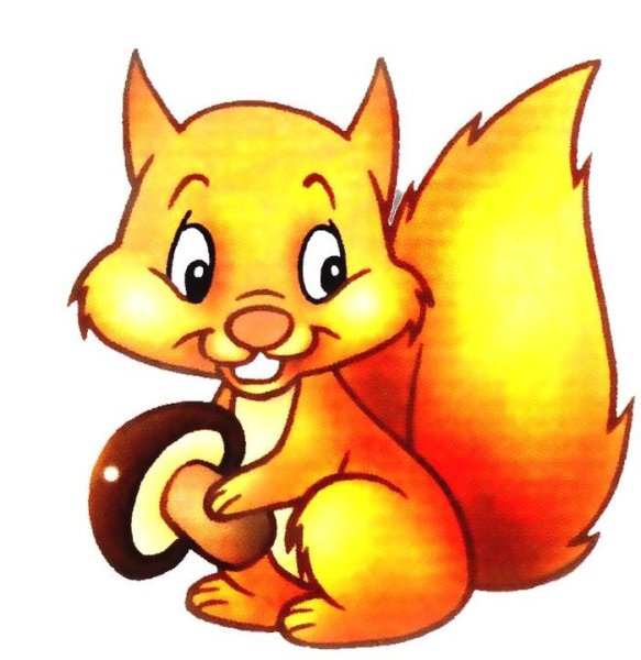 Белка рисунок