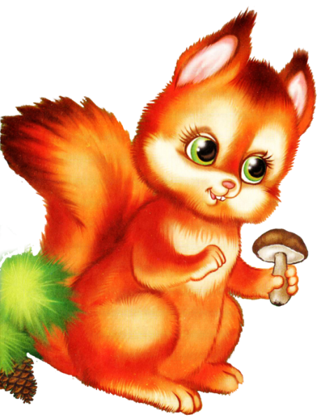 Белка для детского сада