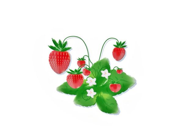 Земляника для дошкольников