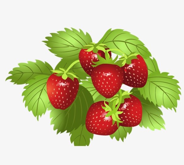 Земляника для детей