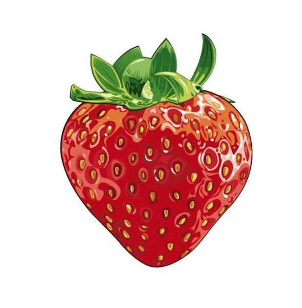 Клубника рисунок