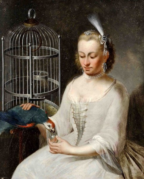 Попугай карикатура маслом