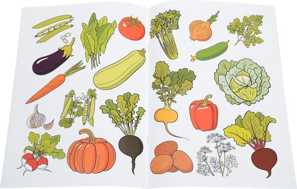 Овощи для дошкольников