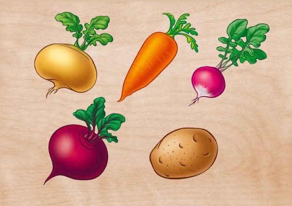 Овощи картинки для детского сада
