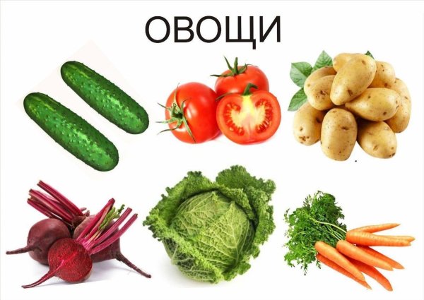 Обобщающие понятия овощи