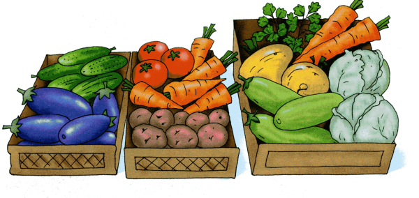 Грядка с овощами для детей