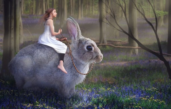 Девочка с кроликом