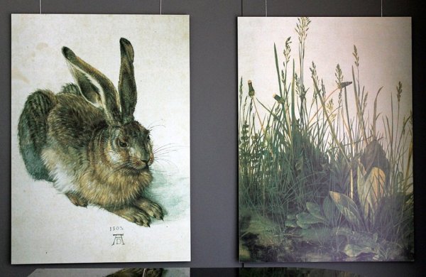 Девушка заяц