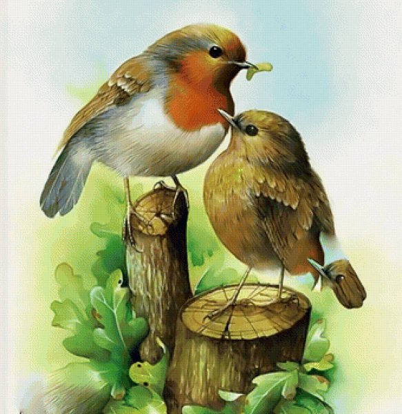 Художник-иллюстратор David a. Finney.